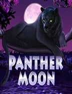 เกม สล็อต คน เล่น เยอะ: สูตรการชนะที่คุณไม่ควรพลาด